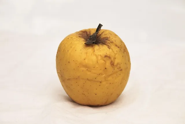 皮下脂肪 落とす 食事: なぜ私たちは食べ物に夢中になるのか？
