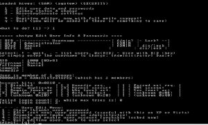 internet Chorzów