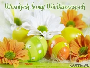 życzy internet chorzów